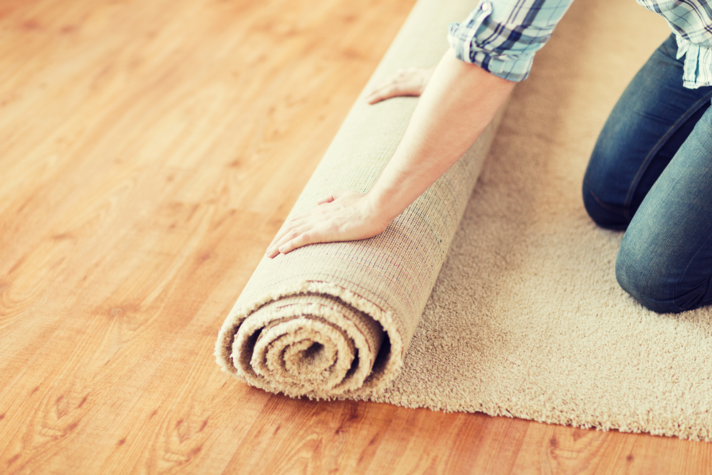 carpet vs. hardwood